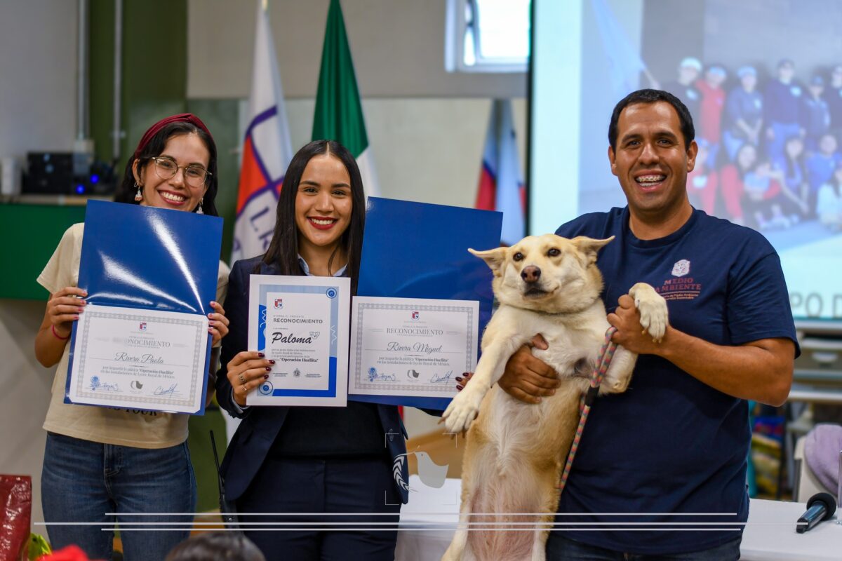 🐾 Operación Huellita 🐶