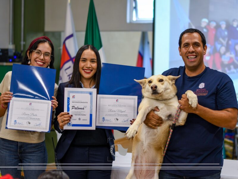 🐾 Operación Huellita 🐶