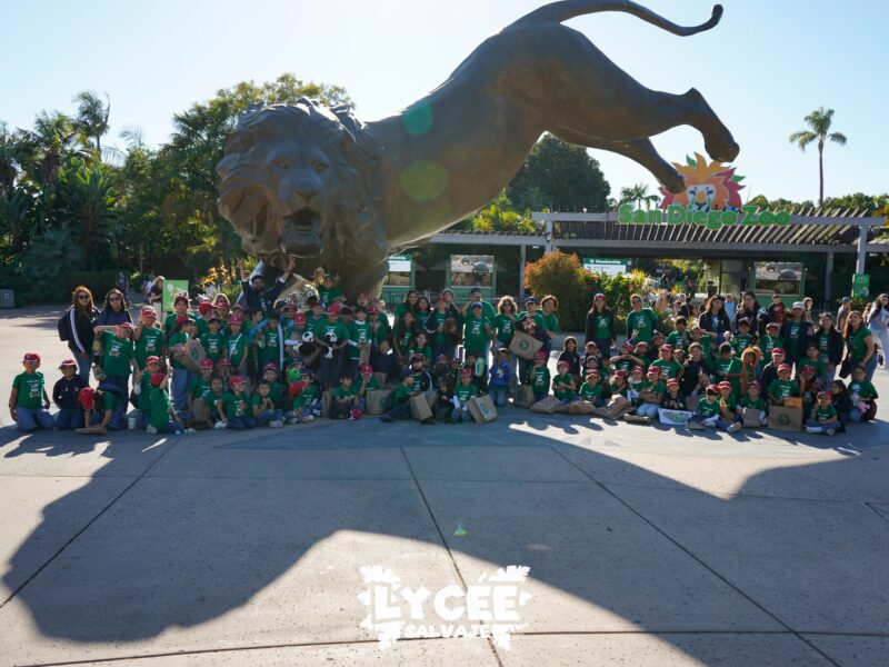 Paseo Zoo – San Diego 2025-26